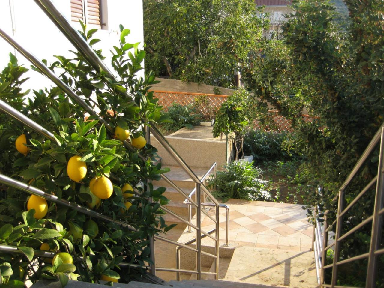Apartments Martina Primošten Extérieur photo